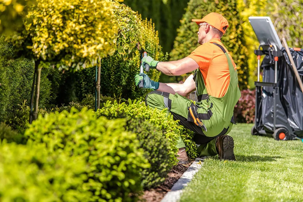 Jardinero con gorra naranja y peto verde recortando arbustos con tijeras de podar junto al césped, imagen ilustrativa del trabajo de jardineros en Tenerife