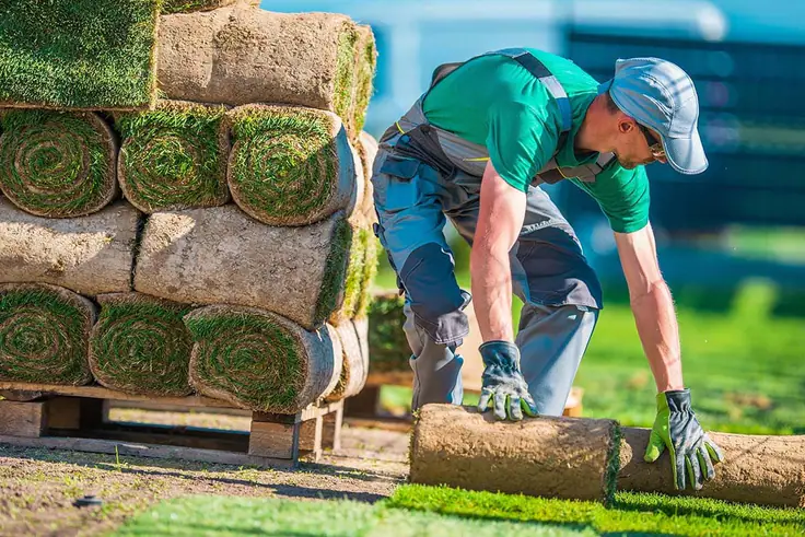 Jardinero con gorra y guantes desenrollando césped natural en rollo junto a un palé de tepes apilados