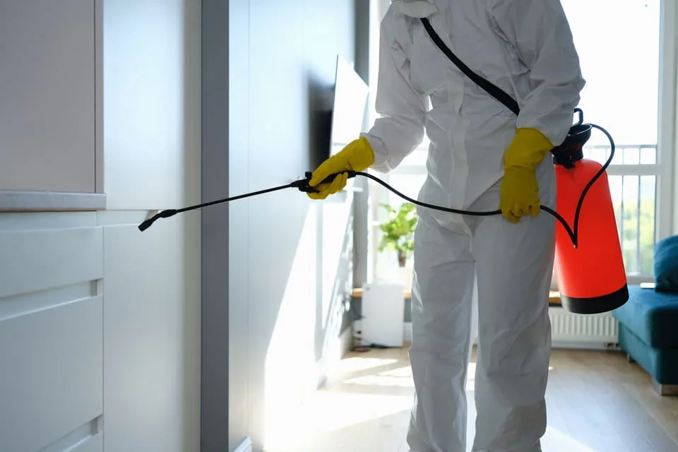 Técnico con mono de protección y guantes amarillos rociando el interior de unos armarios con un pulverizador rojo