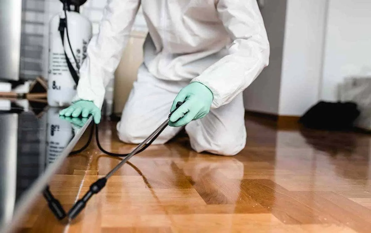 Técnico arrodillado con mono blanco y guantes verdes pulverizando con una lanza junto a un mueble sobre parqué